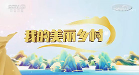 美(měi)麗(lì)鄉(xiāng)村(cūn)